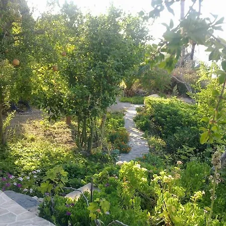 Dimitris Family House Holiday home *
